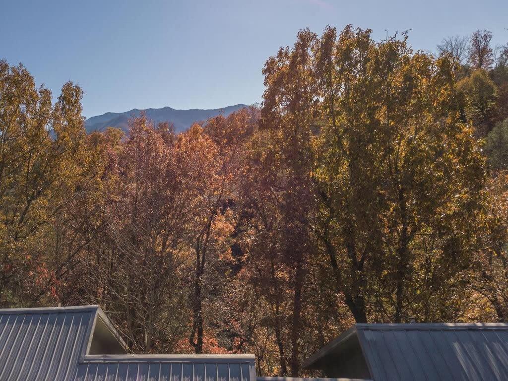 Sasquatch Lodge E Sleeps 13 Gatlinburg Exterior foto